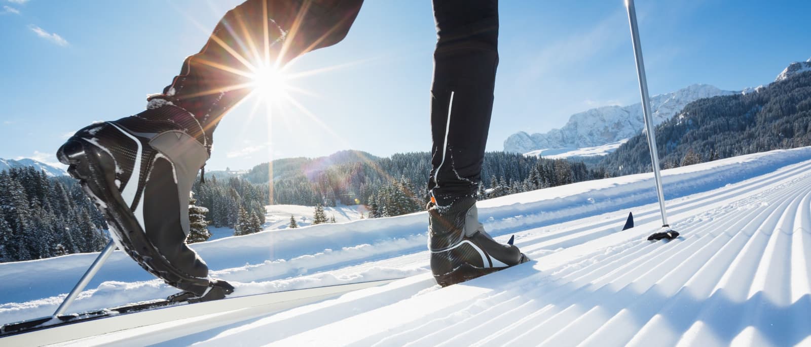 Mest populære sport i Norge: En omfattende oversikt 2026