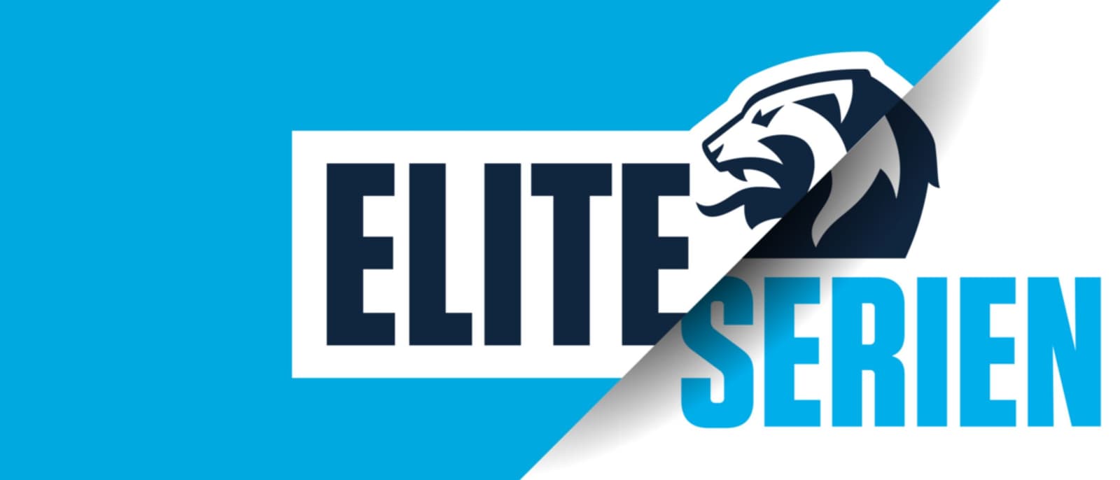 VG Oddstips: Hvordan det faktisk virker [Pass på]