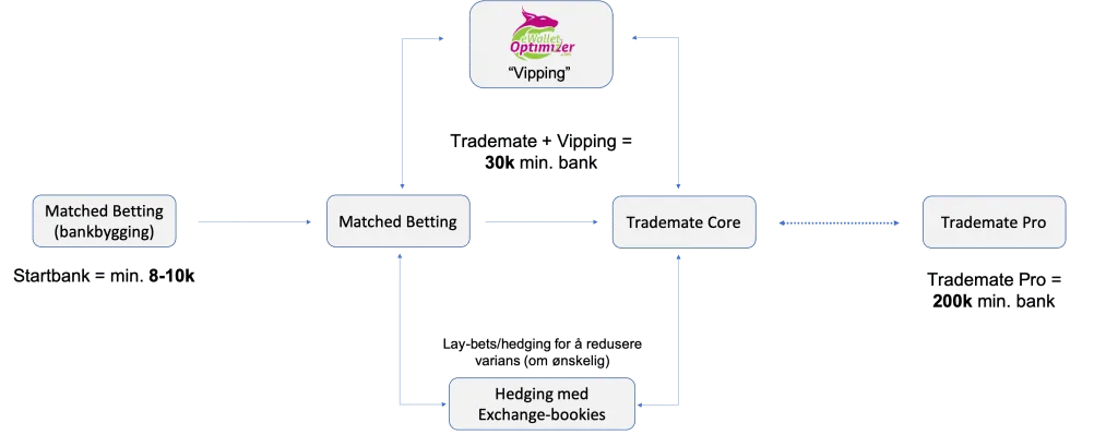 Vanlige spørsmål – Hva er value betting?